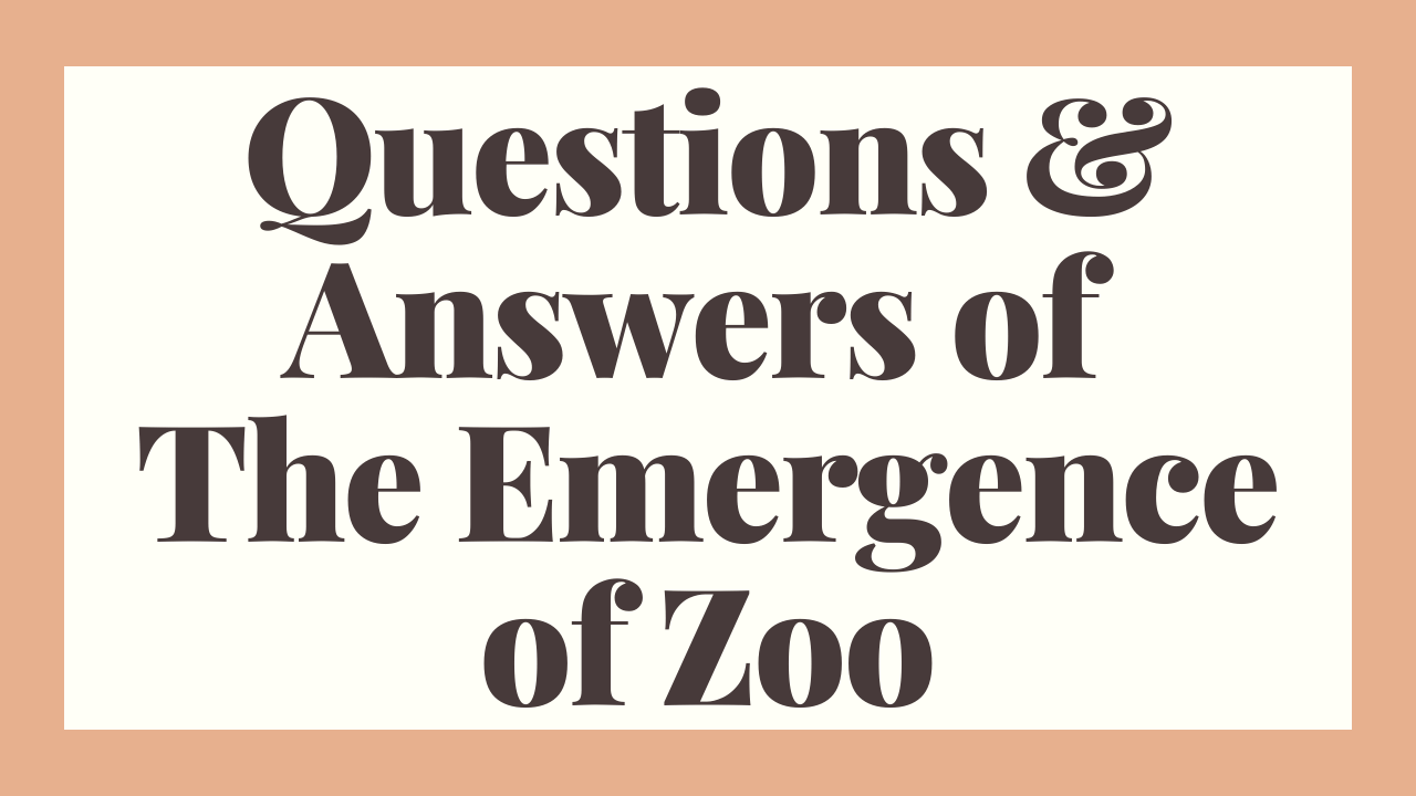 Questions & Answers Of The Emergence Of Zoo