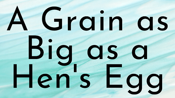 A Grain as Big as a Hen’s Egg Questions & Answers