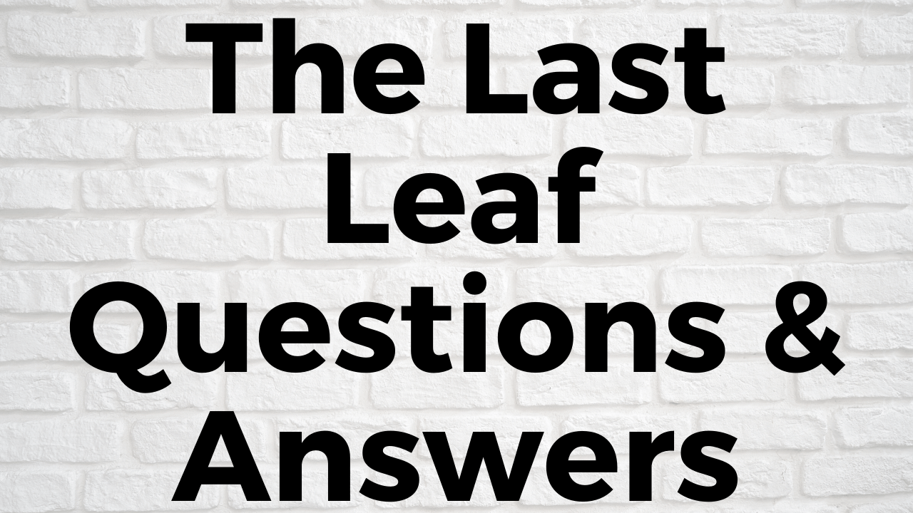 The Last Leaf Questions & Answers