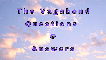 indebære skive nuance The Vagabond Questions & Answers - WittyChimp