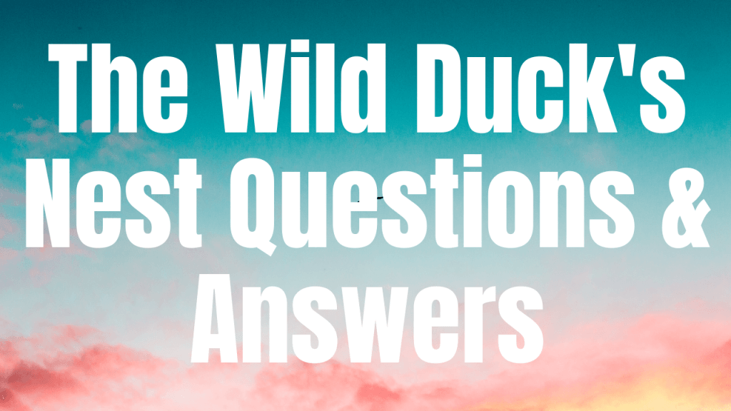 The Wild Duck’s Nest Questions & Answers WittyChimp