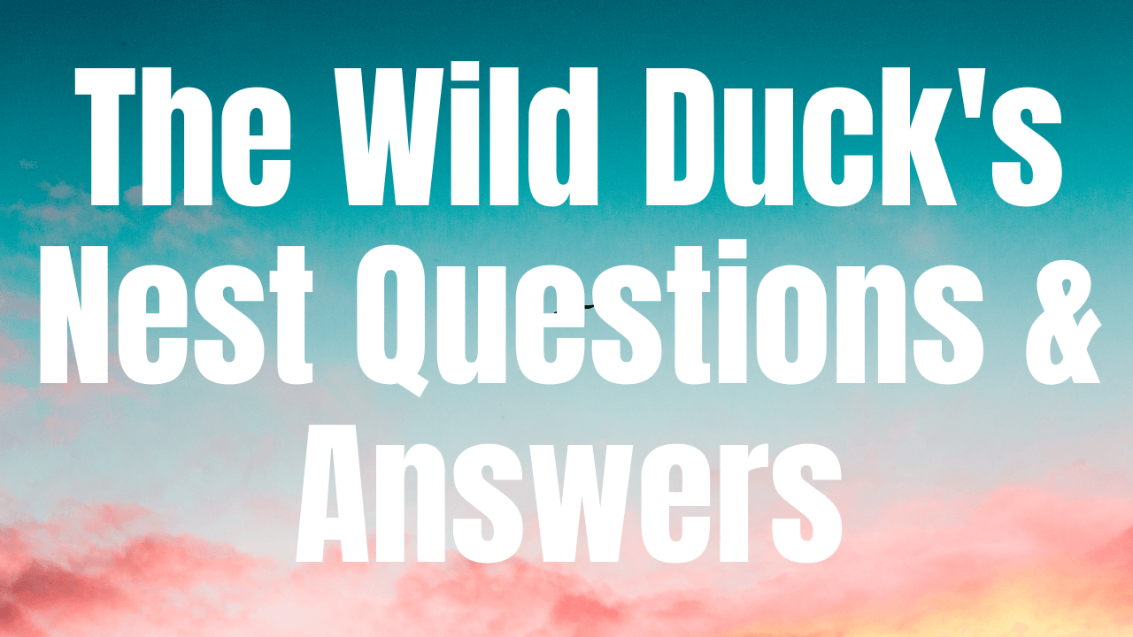 The Wild Duck’s Nest Questions & Answers