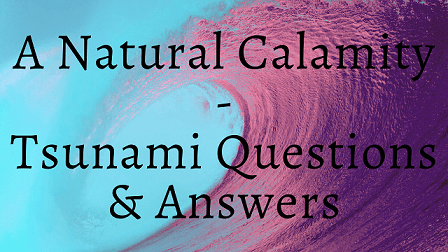 A Natural Calamity - Tsunami Questions & Answers