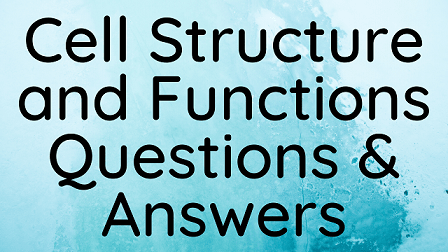 Cell Structure and Functions Questions & Answers