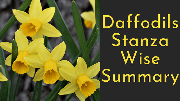 Daffodils Stanza Wise Summary