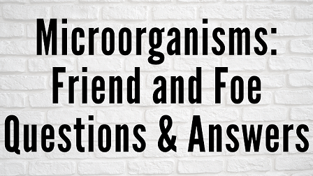 Microorganisms - Friend and Foe Questions & Answers