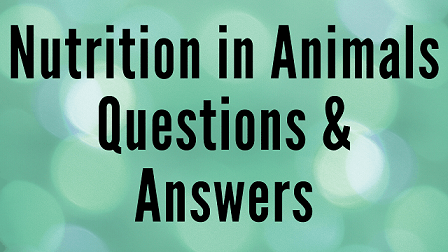 Nutrition In Animals Questions & Answers