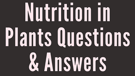 Nutrition In Plants Questions & Answers