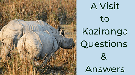 A Visit to Kaziranga Questions & Answers