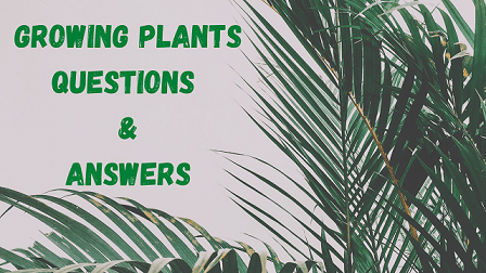 Growing Plants Questions & Answers