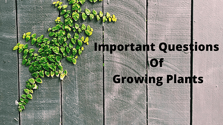 Important Questions Of Growing Plants