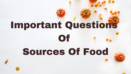 Important Questions Of Sources Of Food