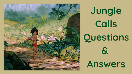 Jungle Calls Questions & Answers