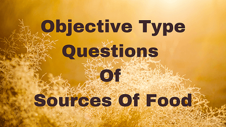 Objective Type Questions Of Sources Of Food
