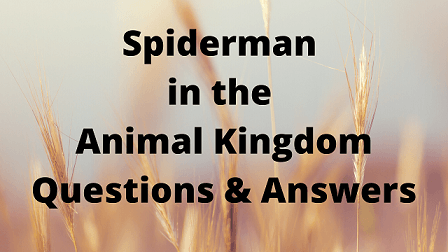 Spiderman in the Animal Kingdom Questions & Answers