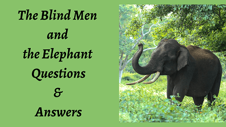 The Blind Men and the Elephant Questions & Answers