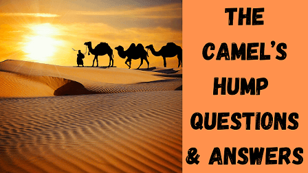 The Camel’s Hump Questions & Answers