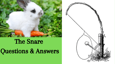 The Snare Questions & Answers - WittyChimp The Snare Questions & Answers - WittyChimp