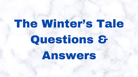 essay questions on the winter's tale