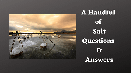 A Handful of Salt Questions & Answers
