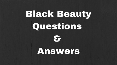 Black Beauty Questions & Answers