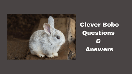 Clever Bobo Questions & Answers