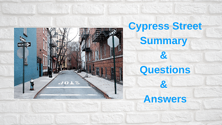 Cypress Street Summary & Questions & Answers