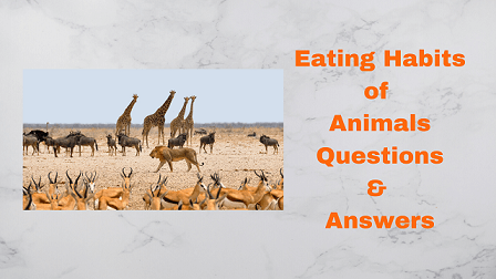 Eating Habits of Animals Questions & Answers