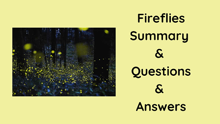 Fireflies Summary & Questions & Answers