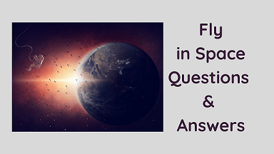 Fly in Space Questions & Answers