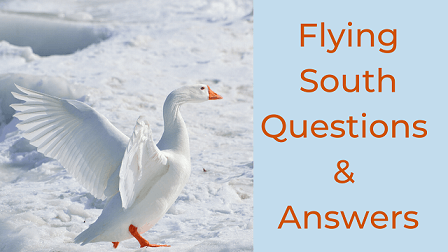 Flying South Questions & Answers