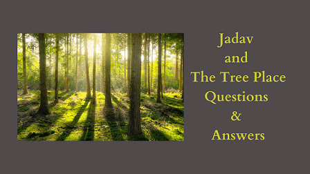 Jadav and the Tree Place Questions & Answers