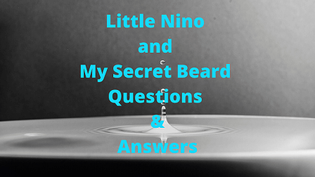 Little Nino and My Secret Beard Questions & Answers