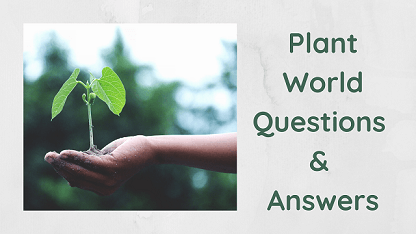 Plant World Questions & Answers