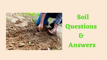 Soil Questions & Answers