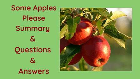 Some Apples Please Summary & Questions & Answers