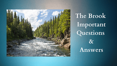 The Brook Important Questions & Answers