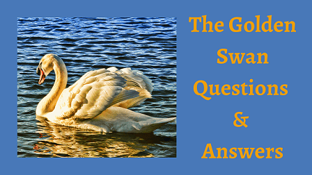 The Golden Swan Questions & Answers