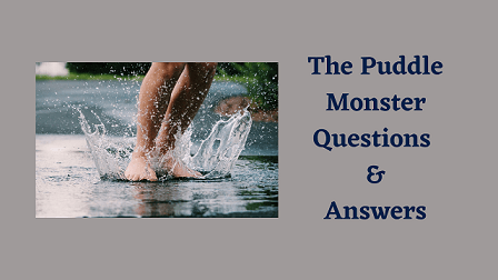 The Puddle Monster Questions & Answers
