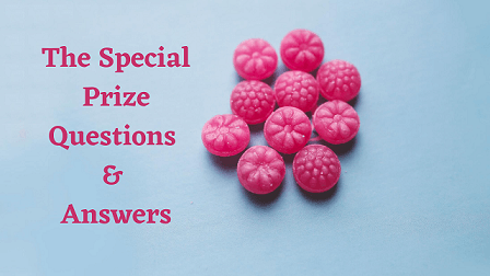 The Special Prize Questions & Answers