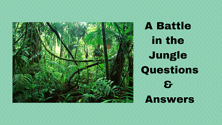 A Battle in the Jungle Questions & Answers