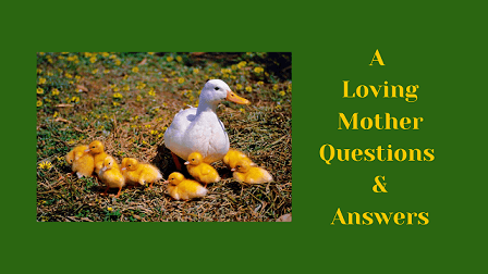 A Loving Mother Questions & Answers - WittyChimp