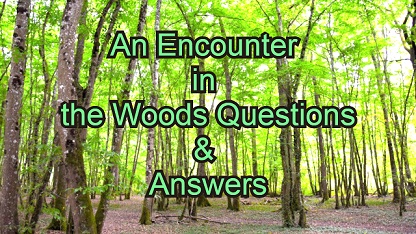 An Encounter in the Woods Questions & Answers