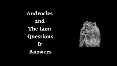 Androcles and the Lion Questions & Answers