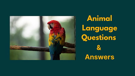 Animal Language Questions & Answers