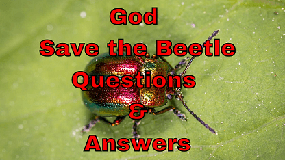 God Save the Beetle Questions & Answers