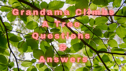 Grandma Climbs A Tree Questions & Answers