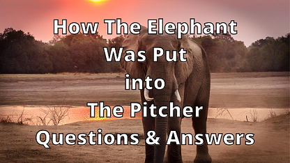How The Elephant Was Put into The Pitcher Questions & Answers