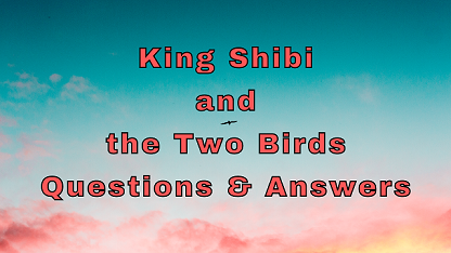 King Shibi and the Two Birds Questions & Answers