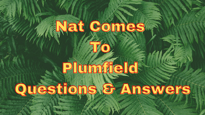 Nat Comes To Plumfield Questions & Answers